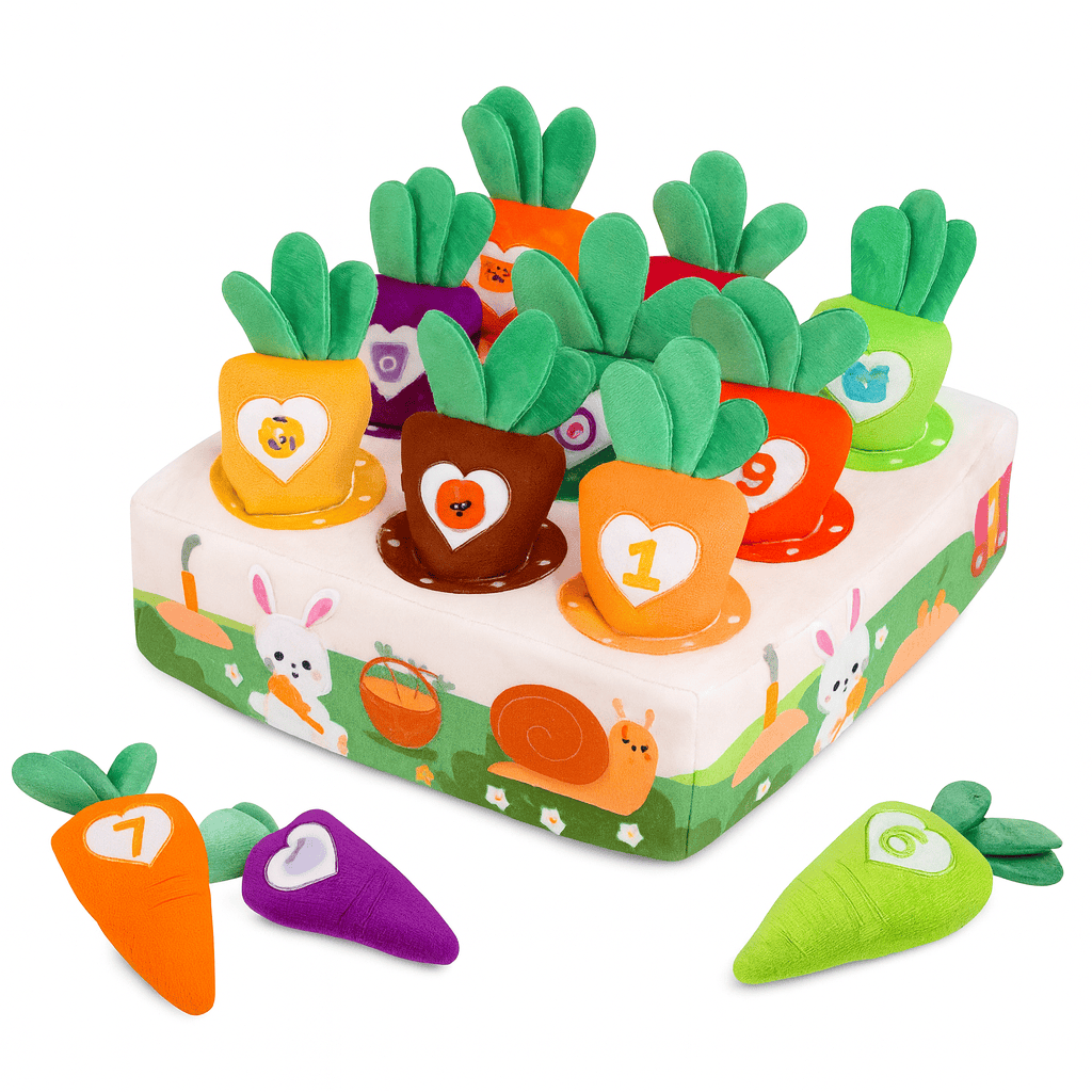 Jeux carottes Montessori - Mon Cocon