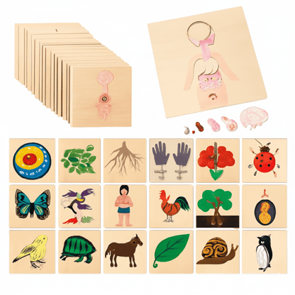 Jeu montessori - Puzzle animaux et nature - Mon Cocon