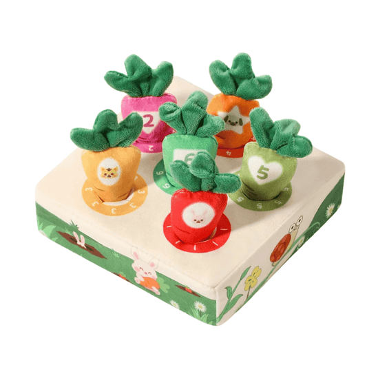 Jeux carottes Montessori