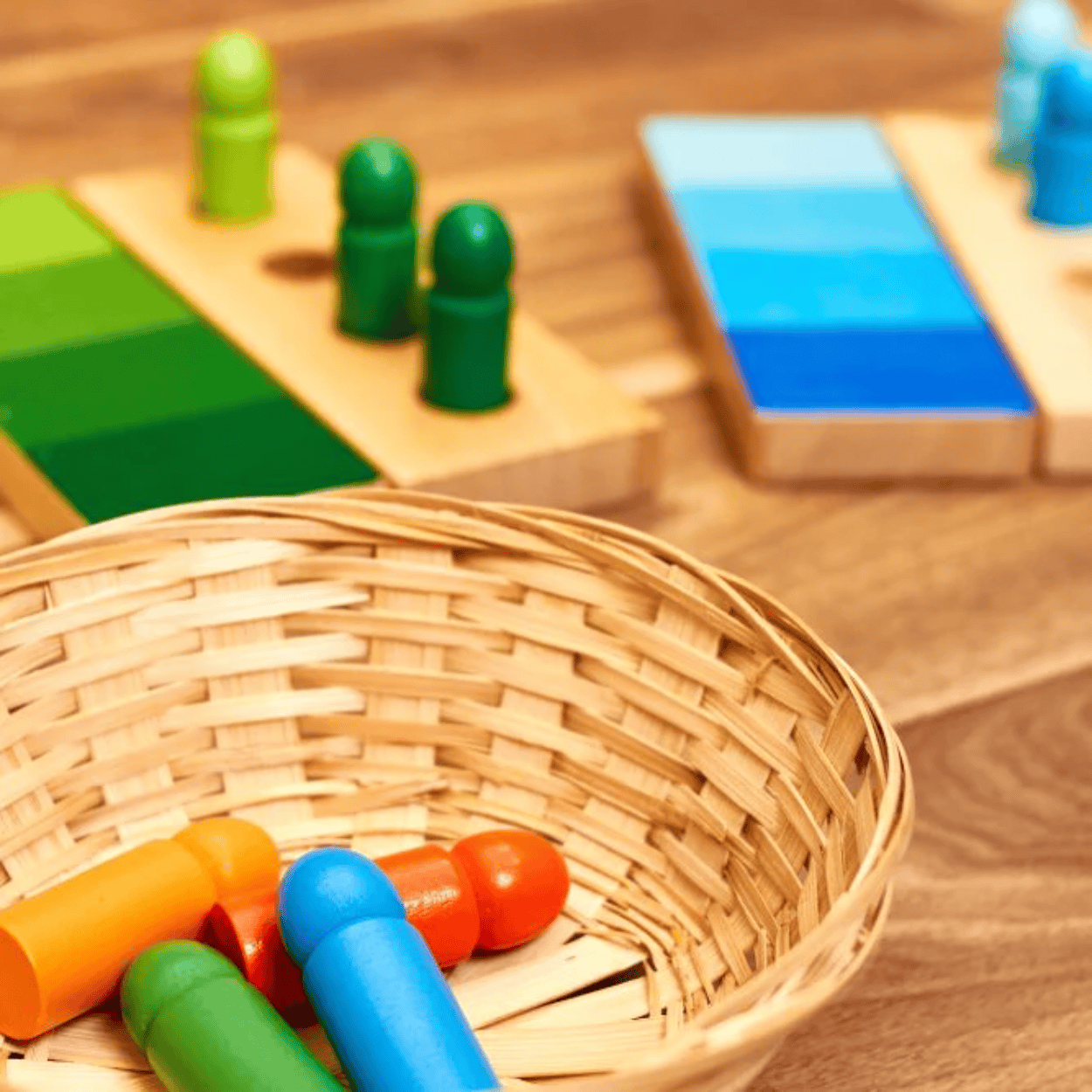 Jeu de Reconnaissance des Teintes Montessori