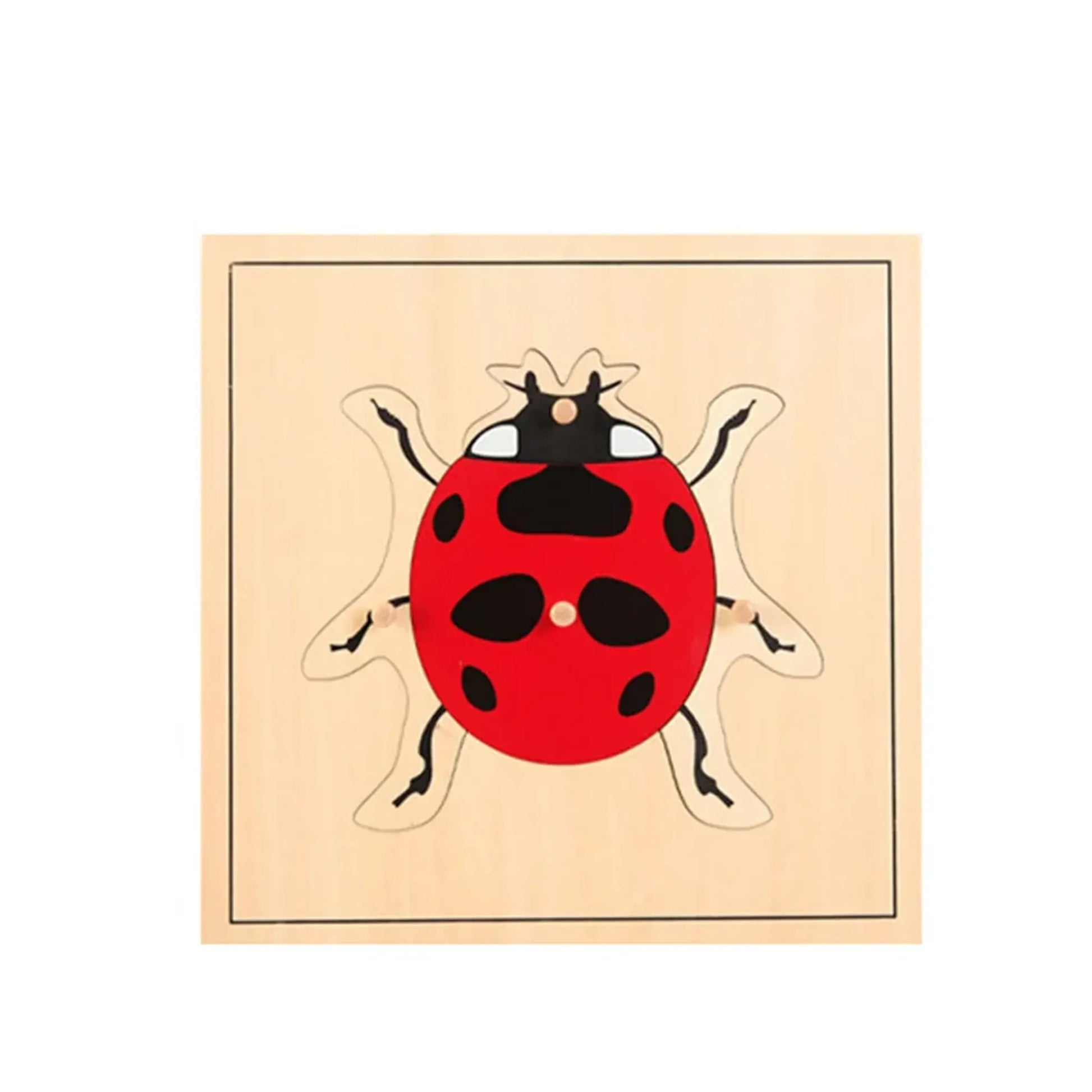 Jeu montessori - Puzzle animaux et nature - Mon Cocon