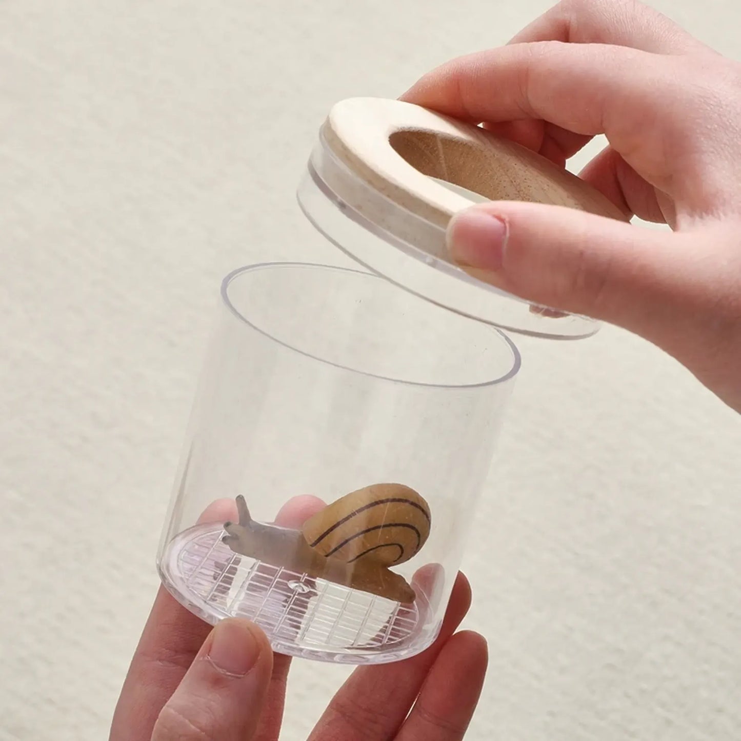 Jeu montessori - Kit découverte d'insecte