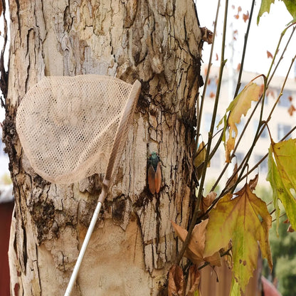 Jeu montessori - Kit découverte d'insecte