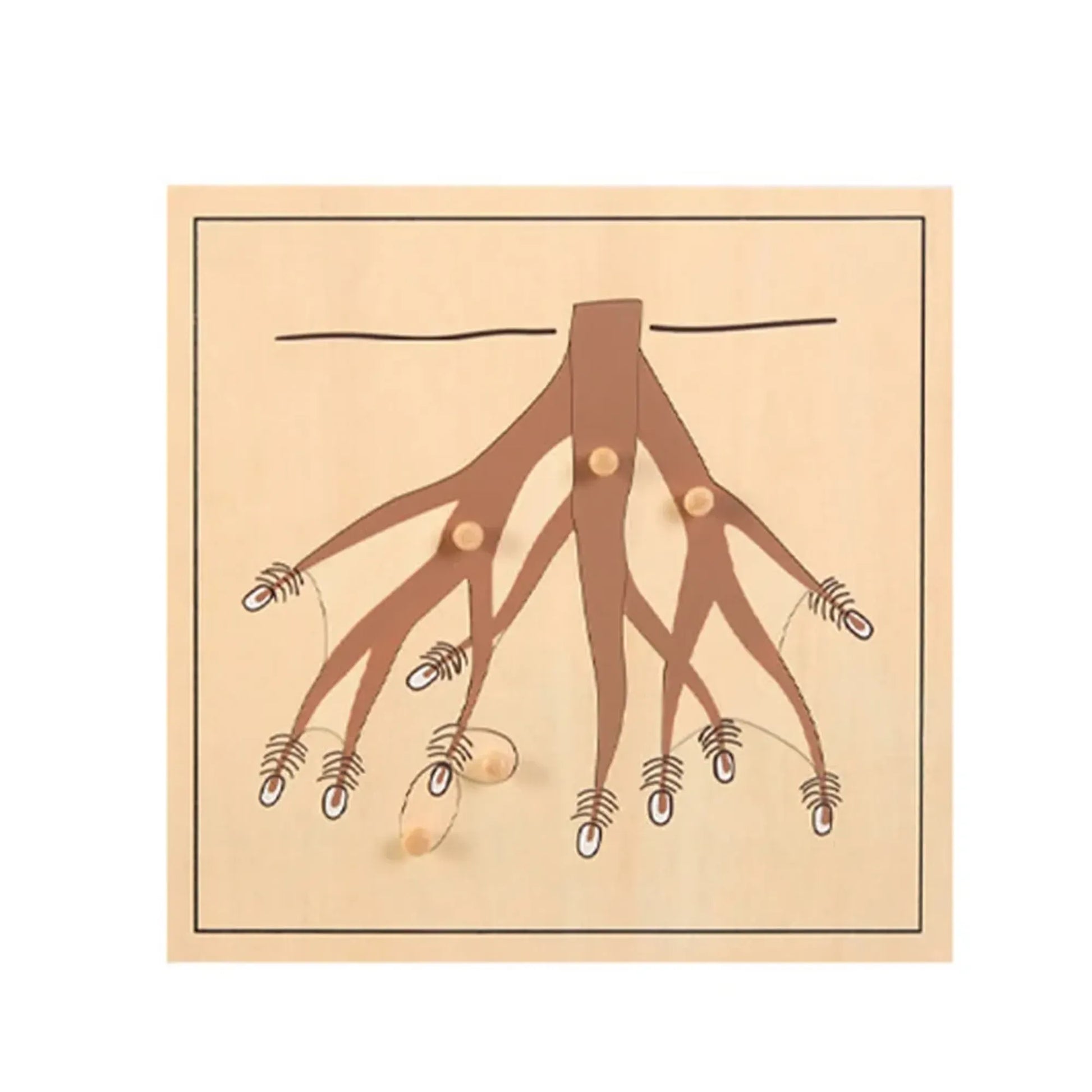 Jeu montessori - Puzzle animaux et nature - Mon Cocon